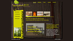 Page d'accueil du site de Trio d'Eco
